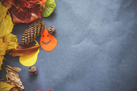 Halloween festive still life.compositions from real small pumpkins, pumpkins cut out of cardboard, autumn leaves and knobsの写真素材