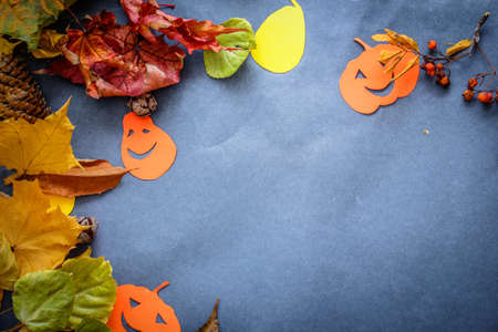 Halloween festive still life.compositions from real small pumpkins, pumpkins cut out of cardboard, autumn leaves and knobsの写真素材