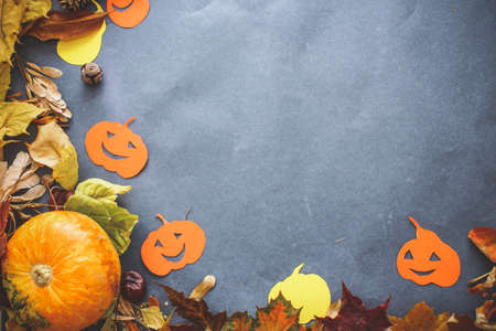 Halloween festive still life.compositions from real small pumpkins, pumpkins cut out of cardboard, autumn leaves and knobsの写真素材