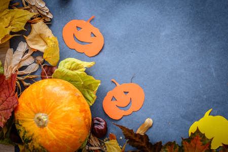 Halloween festive still life.
compositions from real small pumpkins, pumpkins cut out of cardboard, autumn leaves and knobsの写真素材