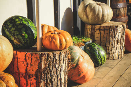 On the eve of Halloween, pumpkins near the house are decorated with pumpkins.The wooden terrace of the house is decorated with pumpkins on the eve of Halloween in this autumn season.の写真素材