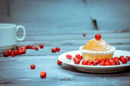 Freshly baked muffin decorated with red berries. Dusted with icing sugar on a white plate. Light wooden tabletop with scattered red berries.の写真素材