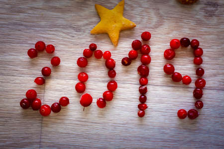 The year 2019 and the ginger biscuit asterisk are written on the bright table top with red berries.