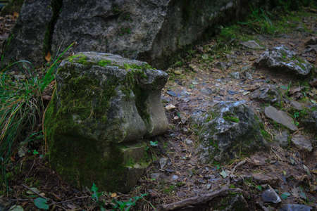 Stones of old ruins covered with moss.Autumn forest landscape. The colors of autumn.