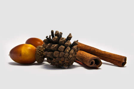 Adornment kitの写真素材