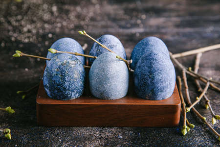 Happy easter concept. Multicolored easter painted eggs in blue tones in an egg box and branches with...