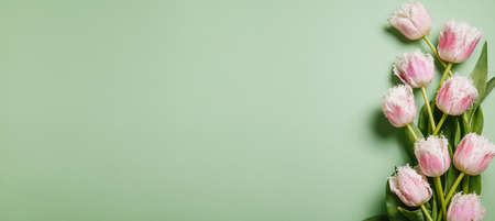 Tulips on a green background. Valentines day concept. International Women's Day. Mother's day. Flat lay, top view, copy space.の写真素材