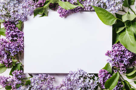 Frame with purple lilac and an empty sheet for text on a white background. Spring concept....