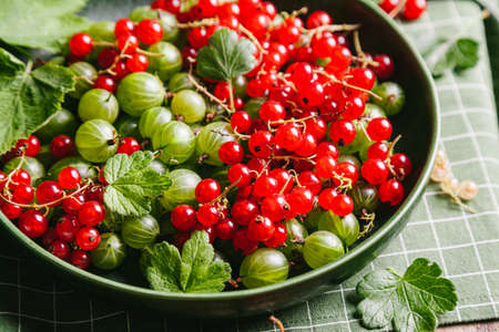 Green gooseberries and red currants with leaves in a green ceramic plate on a green kitchen towel. Close up.の写真素材