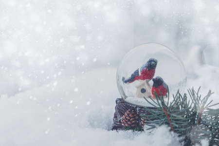 Christmas composition. Christmas snow globe in a snowy forest. Christmas, winter, new year concept. Close up, copy space.の写真素材