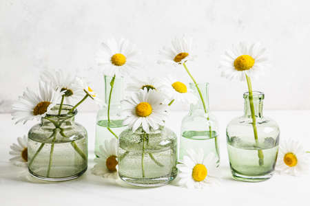 Beautiful daisy flowers in glass vases on light background. Close up.の写真素材