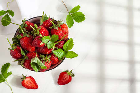 Strawberries with leaves in white bowl on a white background. Copy space.の写真素材