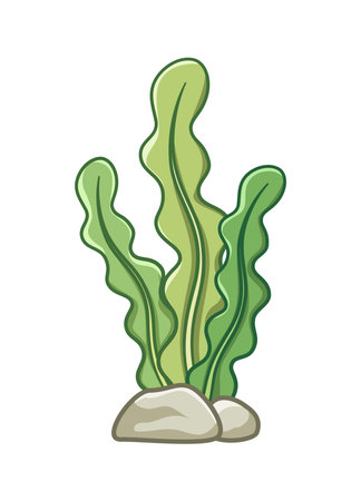 Underwater seaweed vector illustration clipartのイラスト素材