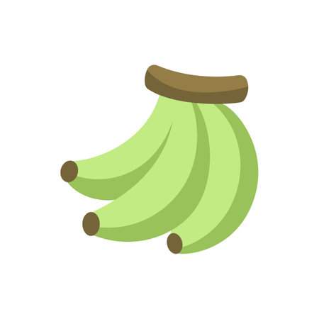 Simple cute unripe green banana icon. Fruit flat vector illustration clipart design.のイラスト素材