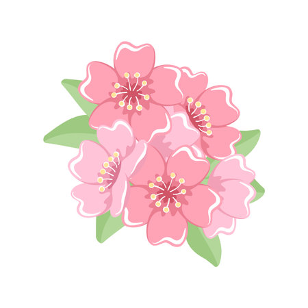 Cherry blossoms floral arrangement vector illustrationのイラスト素材