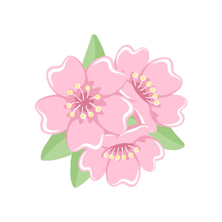 Cherry blossoms floral arrangement vector illustrationのイラスト素材