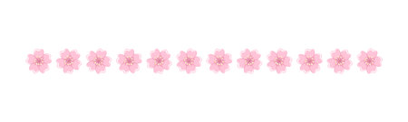 Cherry Blossom Divider Illustration. Spring Floral Border Design Element.のイラスト素材