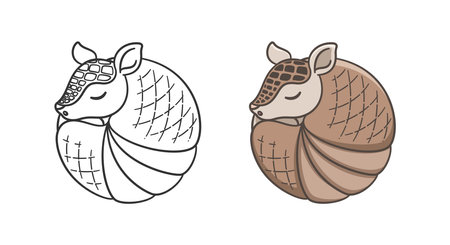 Armadillo sleeping and rolled up into a ball cartoon vector illustration. Colored and outline set. Cute animal character design.のイラスト素材