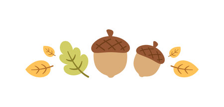 Autumn divider separator for Fall and Thanksgiving season. Vector isolated on white background.のイラスト素材