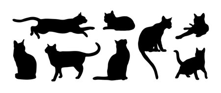 Black Cat Silhouette Abstract Set in different poses. Sitting, standing, running etc. Icon, Logo vector illustration.のイラスト素材