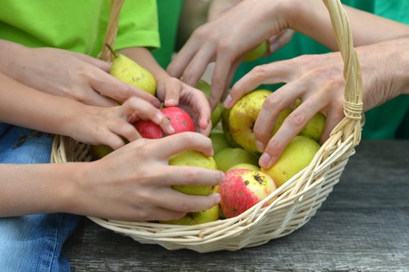 Family with fruits basket in summer close-upの写真素材