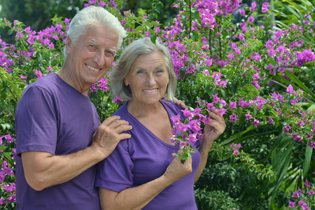 Portrait of a beautiful elderly couple standing embracing outdoorsの写真素材