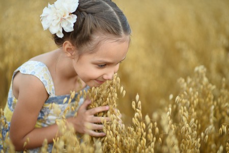 Cute little  girl in the wheat fieldの写真素材