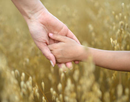 Two hands are holding at the natureの写真素材