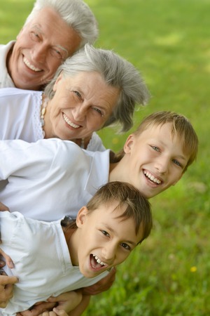 Two boys with their grandparents on a meadow in summer