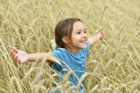 Cute little girl in summer wheat fieldの写真素材