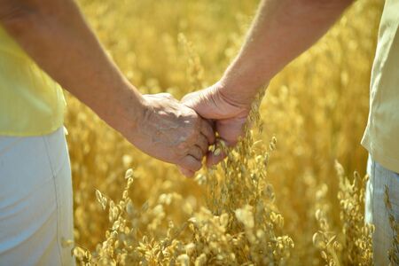 Elderly couple holding hands in field close-upの写真素材