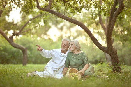 Portrait of Amusing old couple on picnicの写真素材