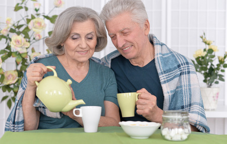 Portrait of a happy senior couple drinking teaの写真素材