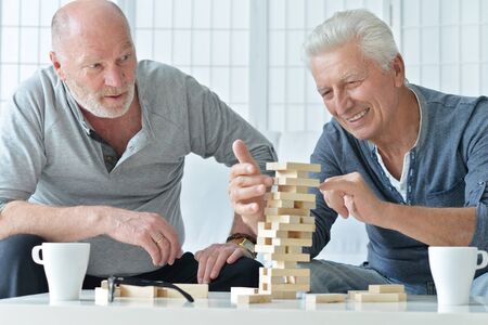 two senior men having fun and playing board game at home
