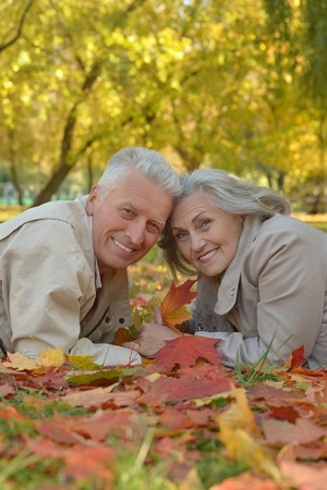 Portrait of a happy senior couple in autumn parkの写真素材