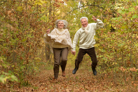 Beautiful happy elderly couple walking in the autumn parkの写真素材