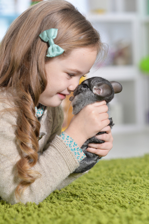 Girl playing with chinchillaの写真素材