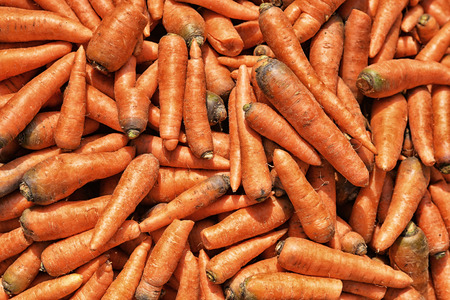 ripe orange carrotの写真素材