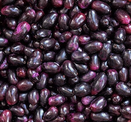 pile of ripe eggplantsの写真素材