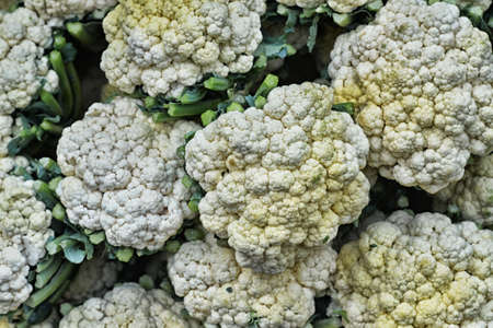 Ripe fresh cauliflowers, background close upの写真素材