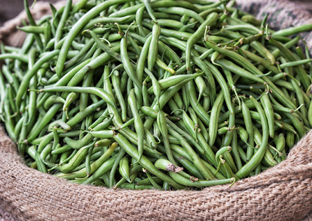 Close up view of pods of green beans