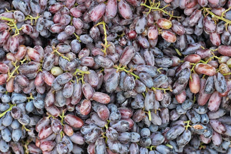 fresh grapes for sale
