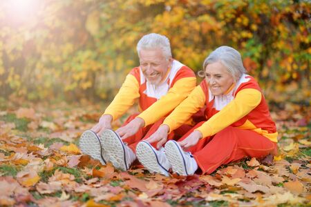 Portrait of fit senior couple exercising in autumn parkの写真素材