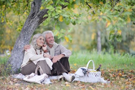 Portrait of senior couple having picnic outdoorsの写真素材
