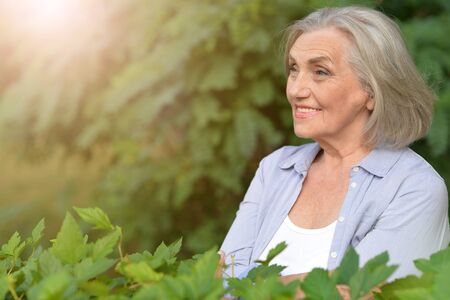 Portrait of happy senior woman in parkの写真素材
