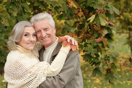 Portrait of beautiful senior couple with leaves in the park