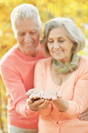 Senior couple in the park showing somethingの写真素材