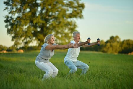 Portrait of fit senior couple exercising in parkの写真素材