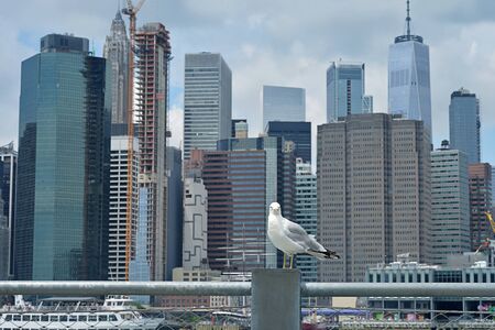 New York city skyline. United States of Americaの写真素材
