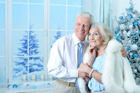 Happy senior couple on Christmas at homeの写真素材